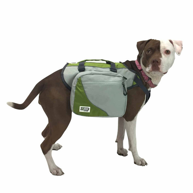 Chewy V Dog Backpack Harness